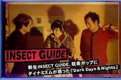 INSECT GUIDE