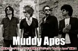 Muddy Apes