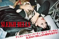 SLEIGH BELLS