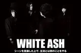 WHITE ASH