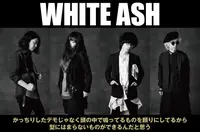 WHITE ASH