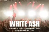 WHITE ASH