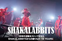 SHAKALABBITS