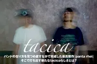 tacica