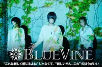 BLUEVINE