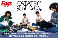 CAT ATE HOTDOGS