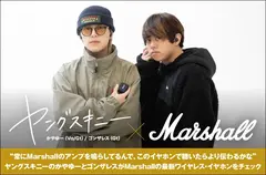 ヤングスキニー × Marshall