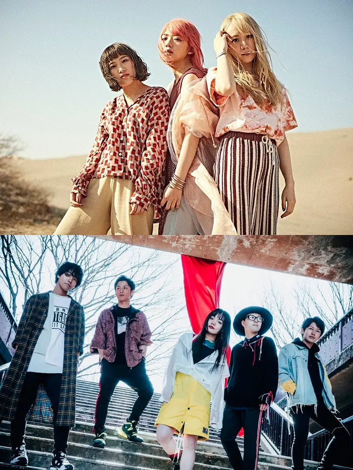 the peggies / vivid undress
