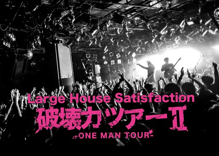 Large House Satisfaction