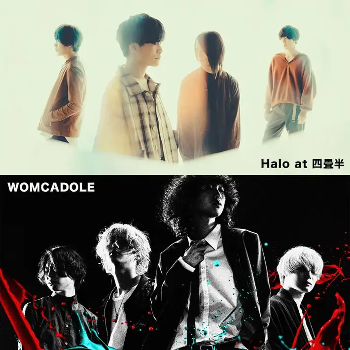 Halo at 四畳半×WOMCADOLE