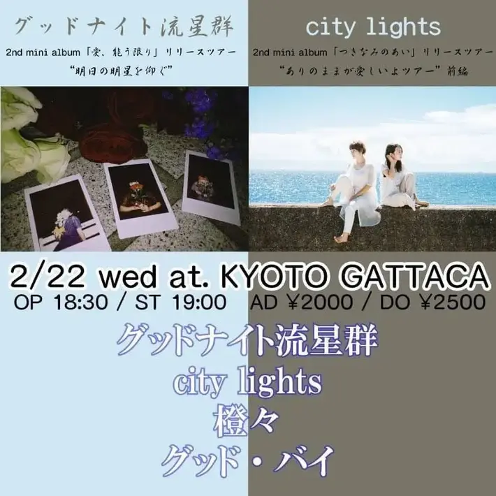 グッドナイト流星群 / city lights