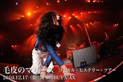 毛皮のマリーズ