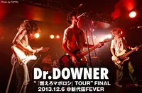 Dr.DOWNER