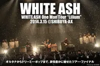 WHITE ASH