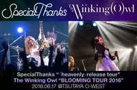 SpecialThanks × The Winking Owl