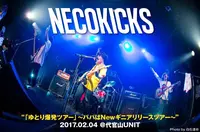 NECOKICKS