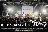 cinema staff × アルカラ