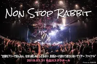 Non Stop Rabbit