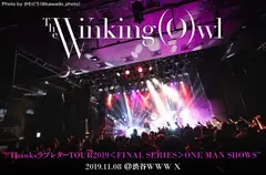 The Winking Owl