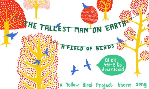 いよいよ6/30世界デビュー、THE TALLEST MAN ON EARTHの曲をフリーDL！