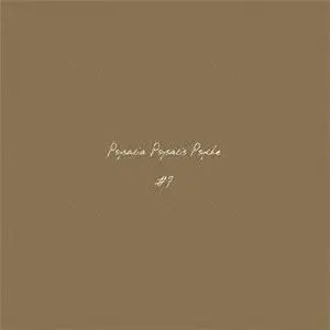 ICEAGE来日公演サポート・アクトにPsysalia Psysalis Psycheの出演が決定！