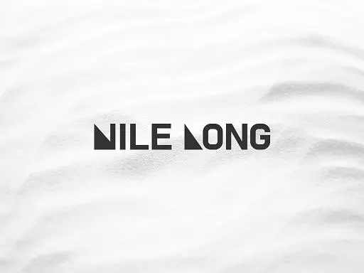 元the brixton academyのメンバーによる新バンド”NILE LONG”が7/4 Niw! Recordsからシングルをリリースする事を発表。