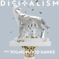 digitalism_jk.jpg