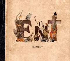 ELEMENT.jpg