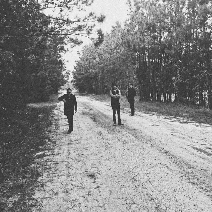 MERCURY REV、2/8に4年ぶりニュー・アルバム『Bobbie Gentry's The Delta Sweete Revisited』リリース決定。新曲「Sermon Ft. Margo Price」音源公開も