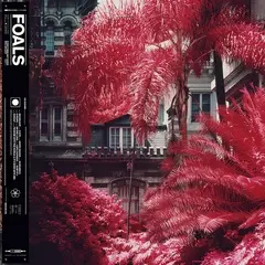 foals_jkt.jpg