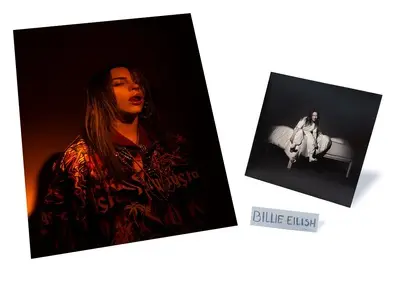 billie_eilish_when_we_fall_asleep_where_do_we_go.jpg