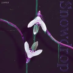 snowdrop.jpg