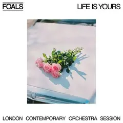 Foals_LIY_LCO.jpg