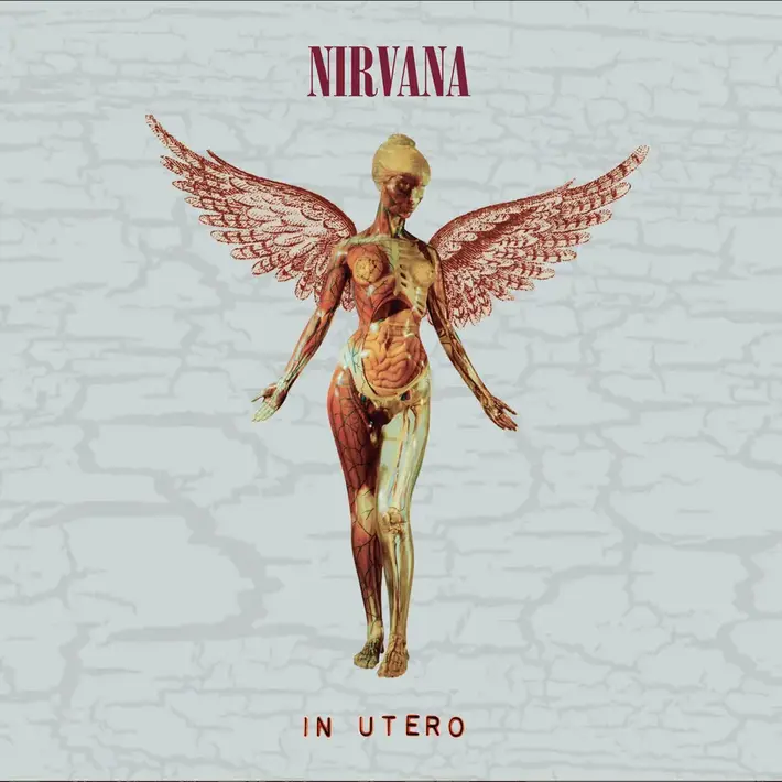 NIRVANA、アルバム『In Utero』30周年記念エディションより「All Apologies」＆「Frances Farmer Will Have Her Revenge On Seattle」未発表ライヴ音源公開