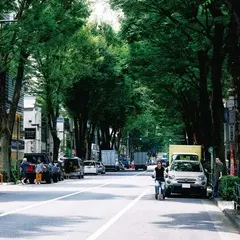 THE_O_ROAD_typeB.jpg